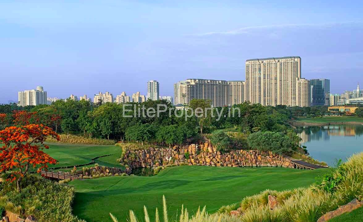 4-BHK-Residential-Apartment-Sale-DLF-The-Camellias-DLF-Golf-Link-Golf-Course-Road-Sector-42-Gurgaon